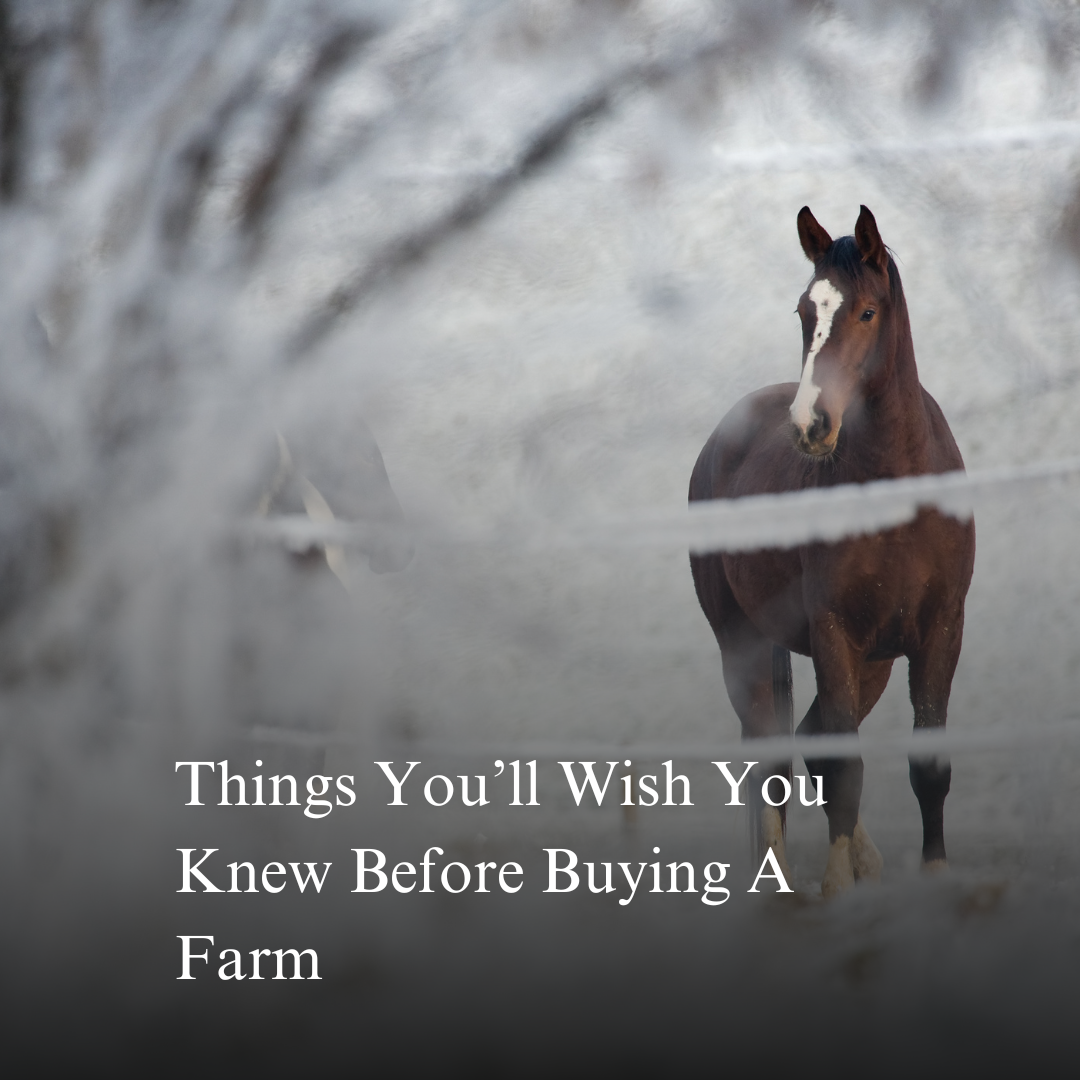 Things You’ll Wish You Knew Before Buying A Farm